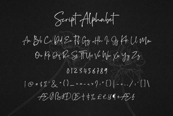 Quentin Script Quentin Script Font