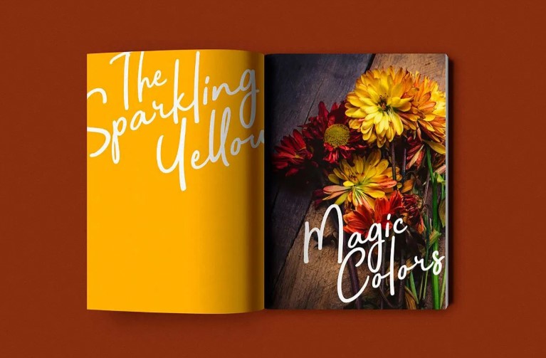 Bahagia Signature Font Free