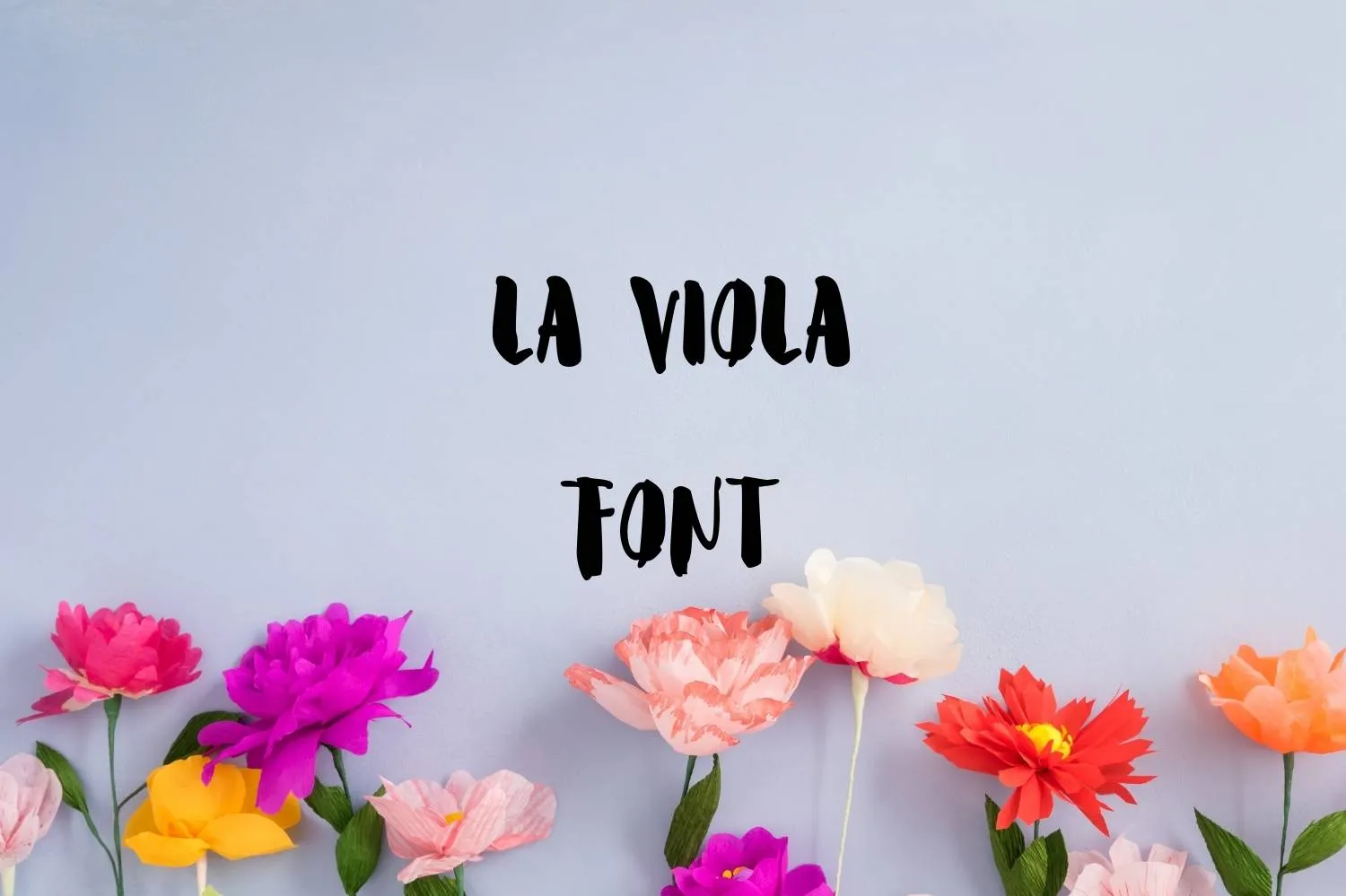 Viola Script Calligraphy La Viola Font Free Download