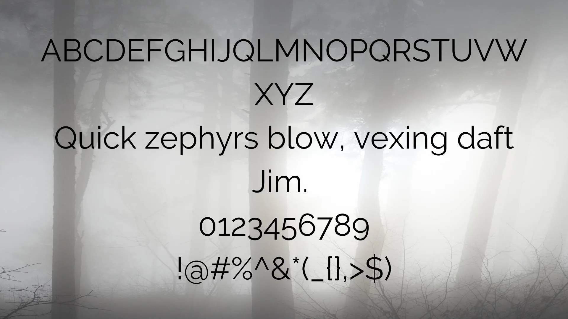 Raleway Font