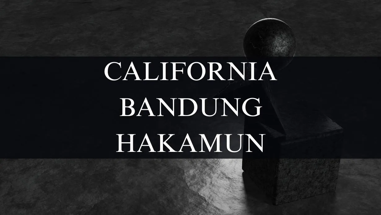 Times New Roman Font