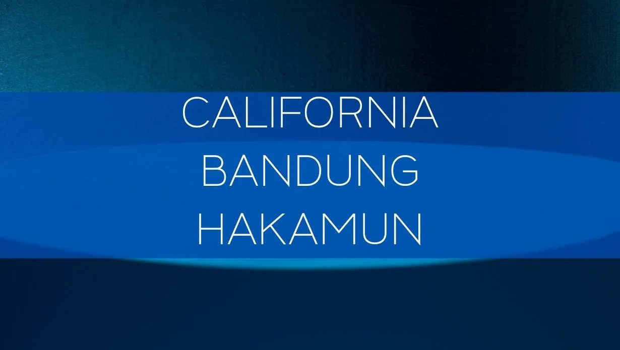 Adget Sans Font