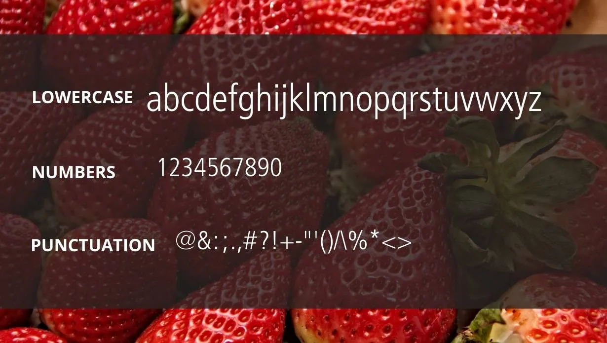 Frutiger font