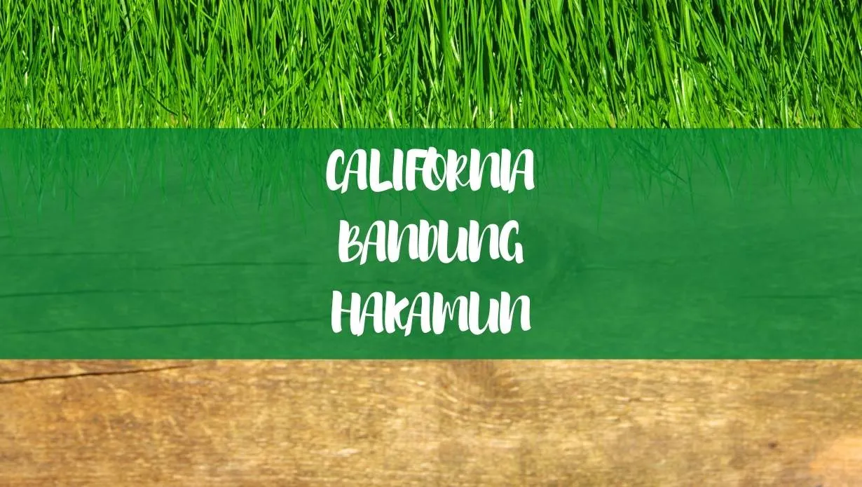 Brusher Font