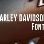 Harley Davidson