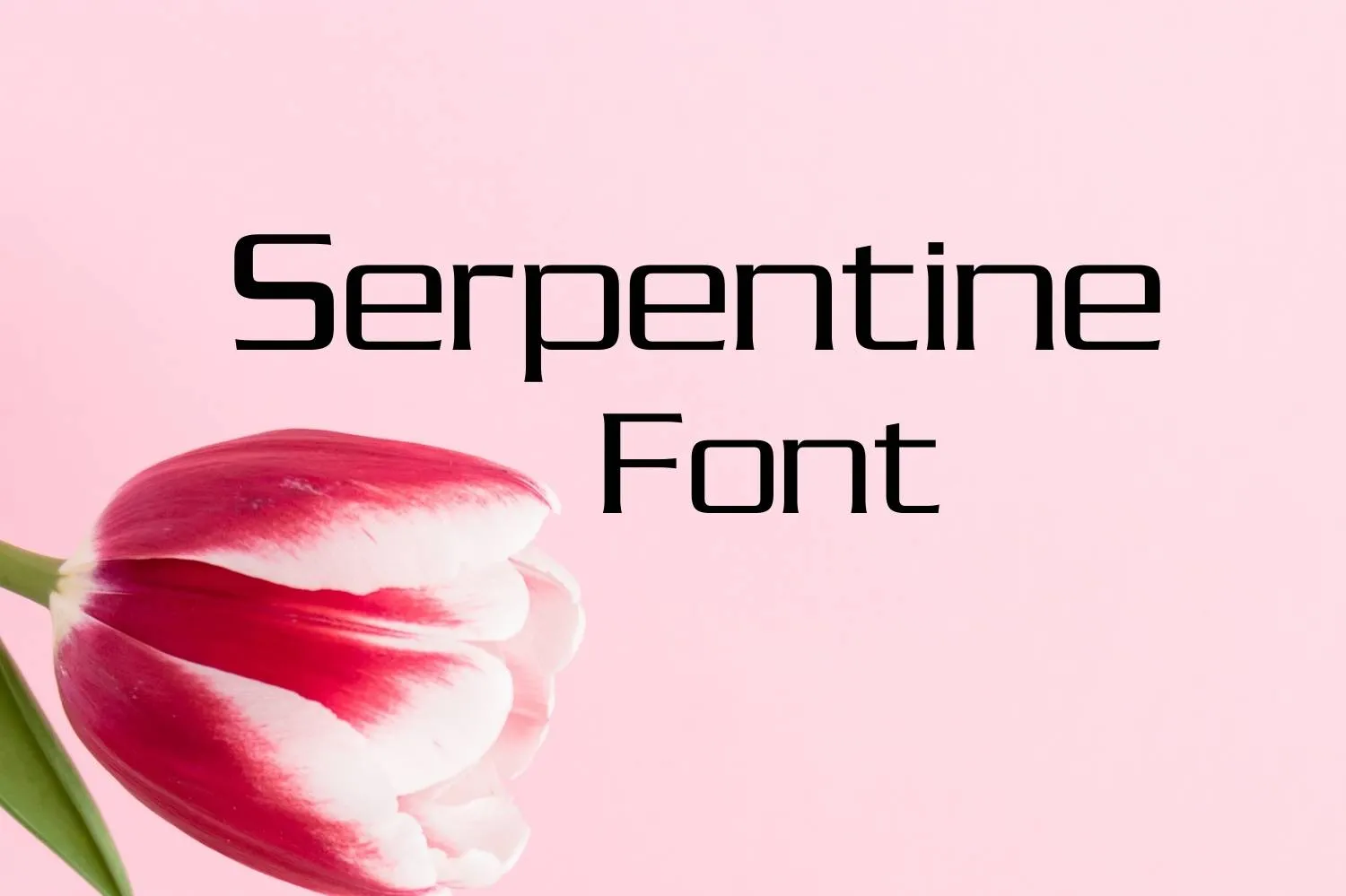 Serpentine Font Free Download