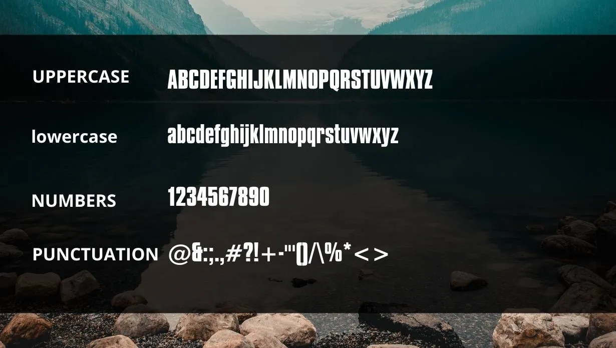 Compacta BT Bold Font Free Download