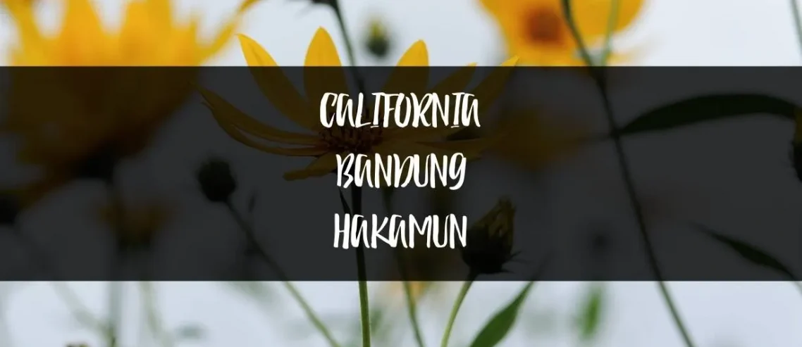 Debby Font