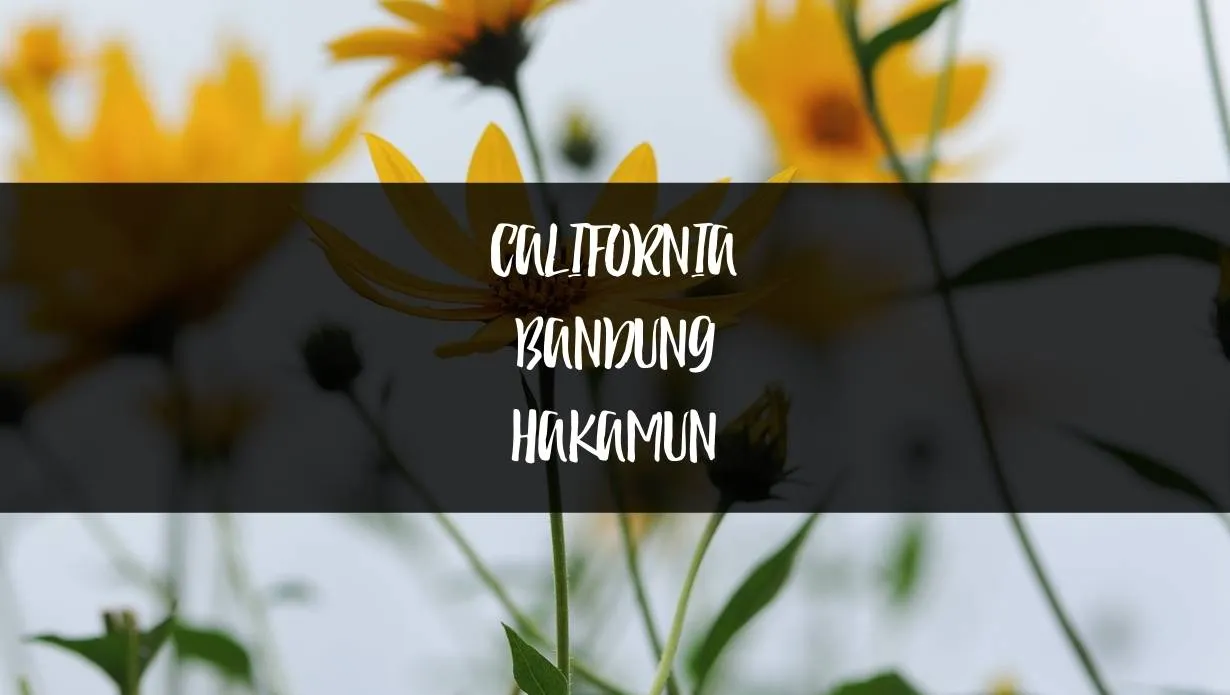 Debby Font
