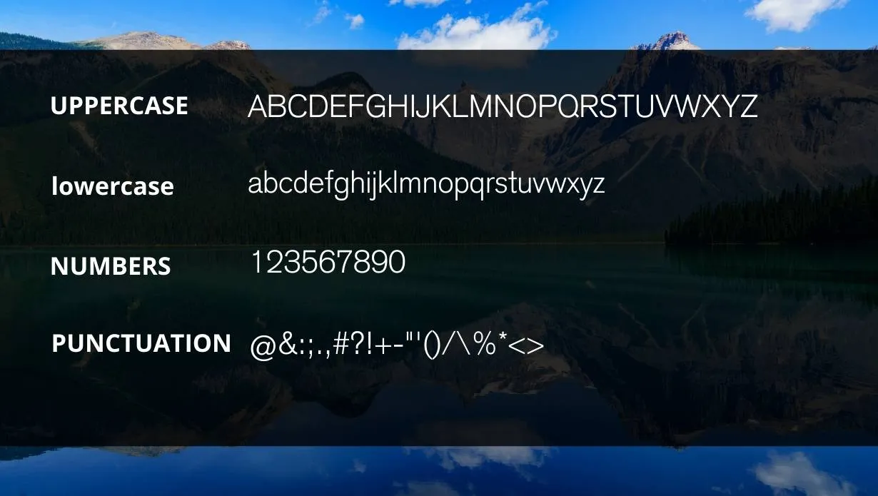 view of Akzidenz Grotesk Font