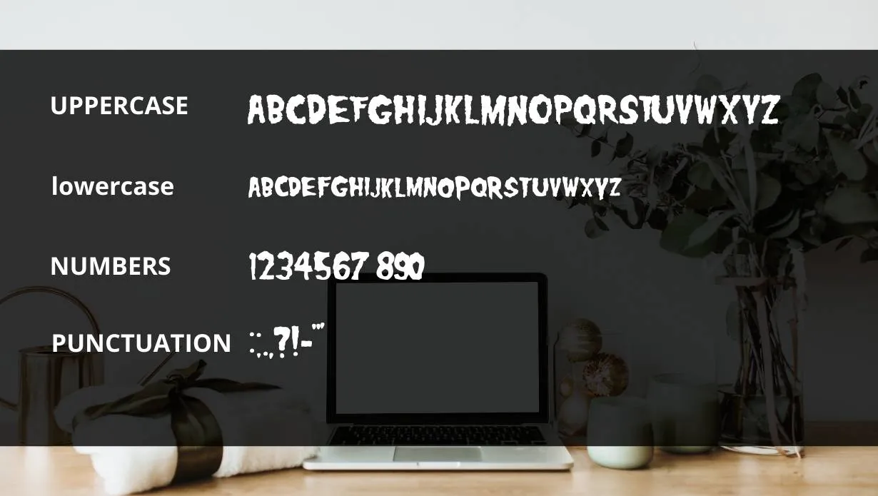 View of Misfits Font