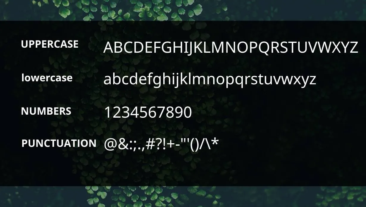 Noto Sans Font