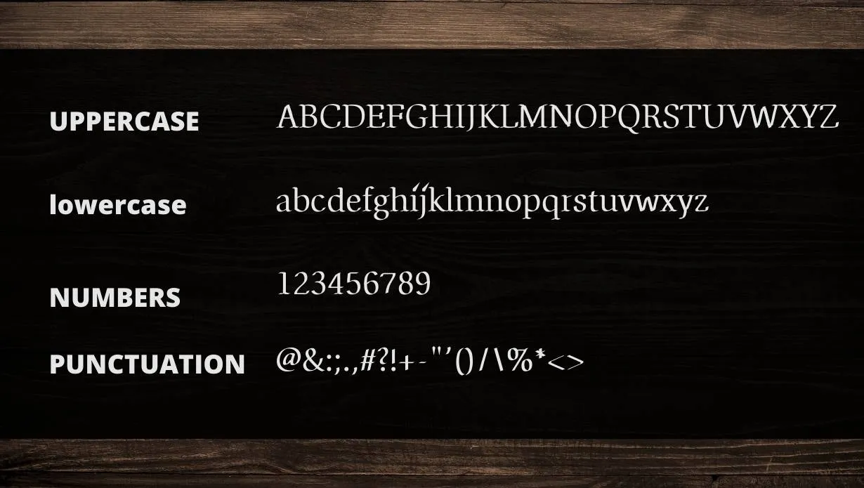 View of Autopia Font