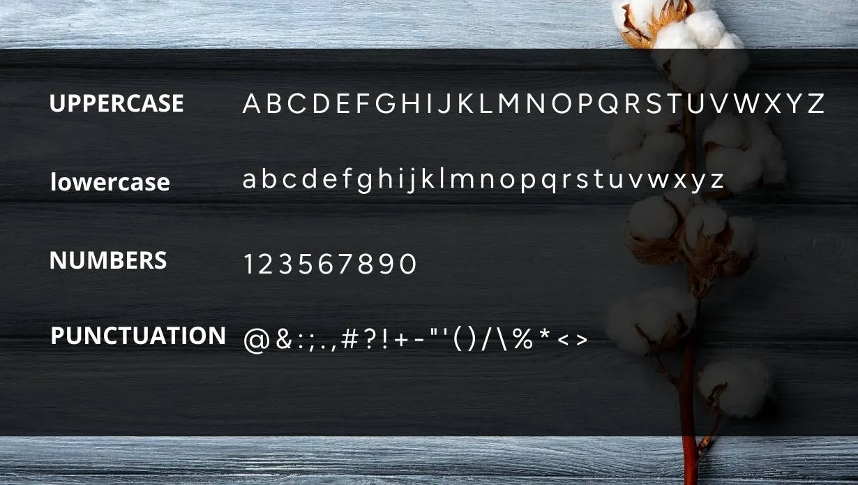 View of Blueberry Sans Font