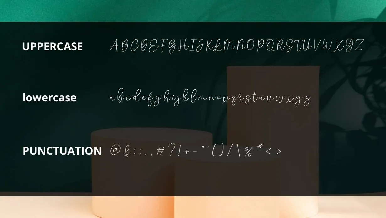 View of Tersely Font