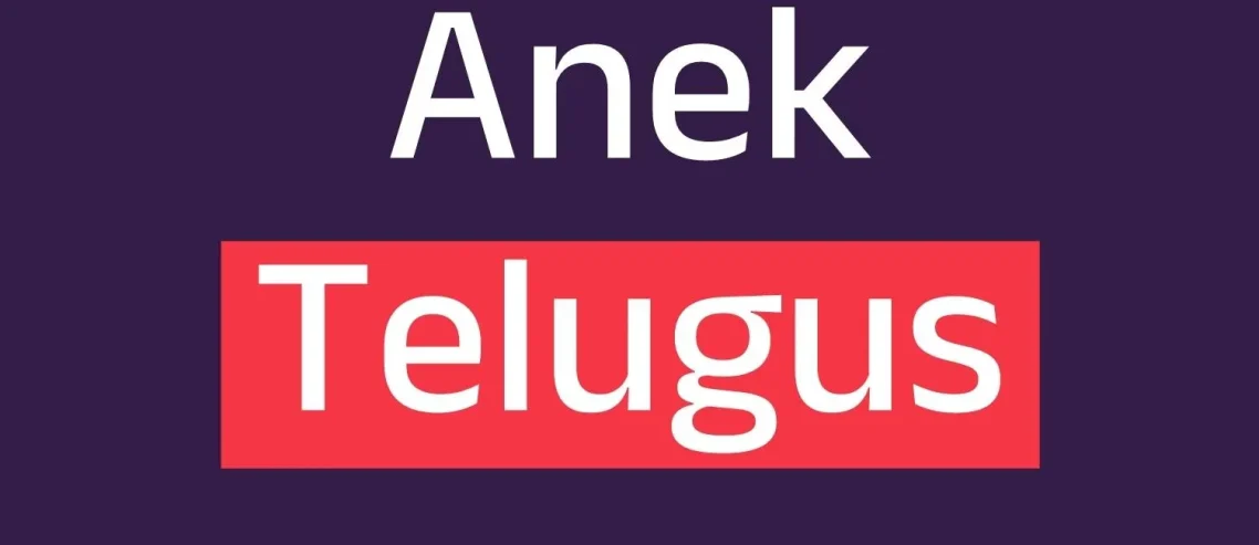 Anek Telugus Font