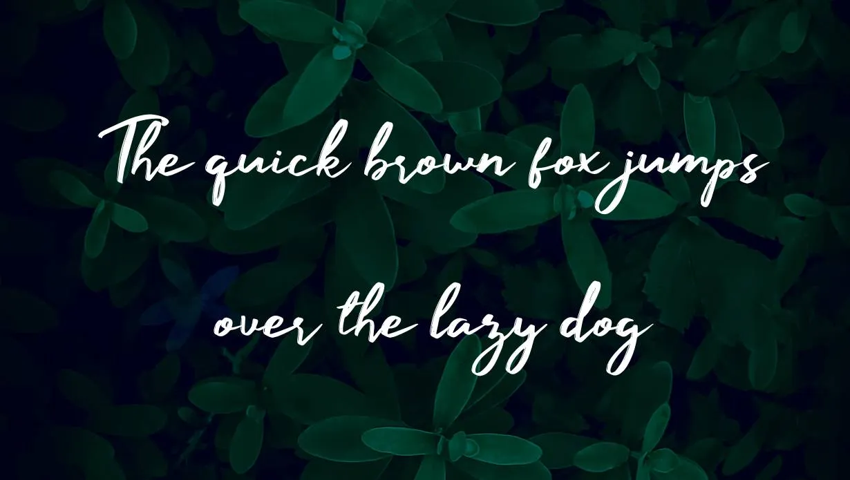 Manyland Font