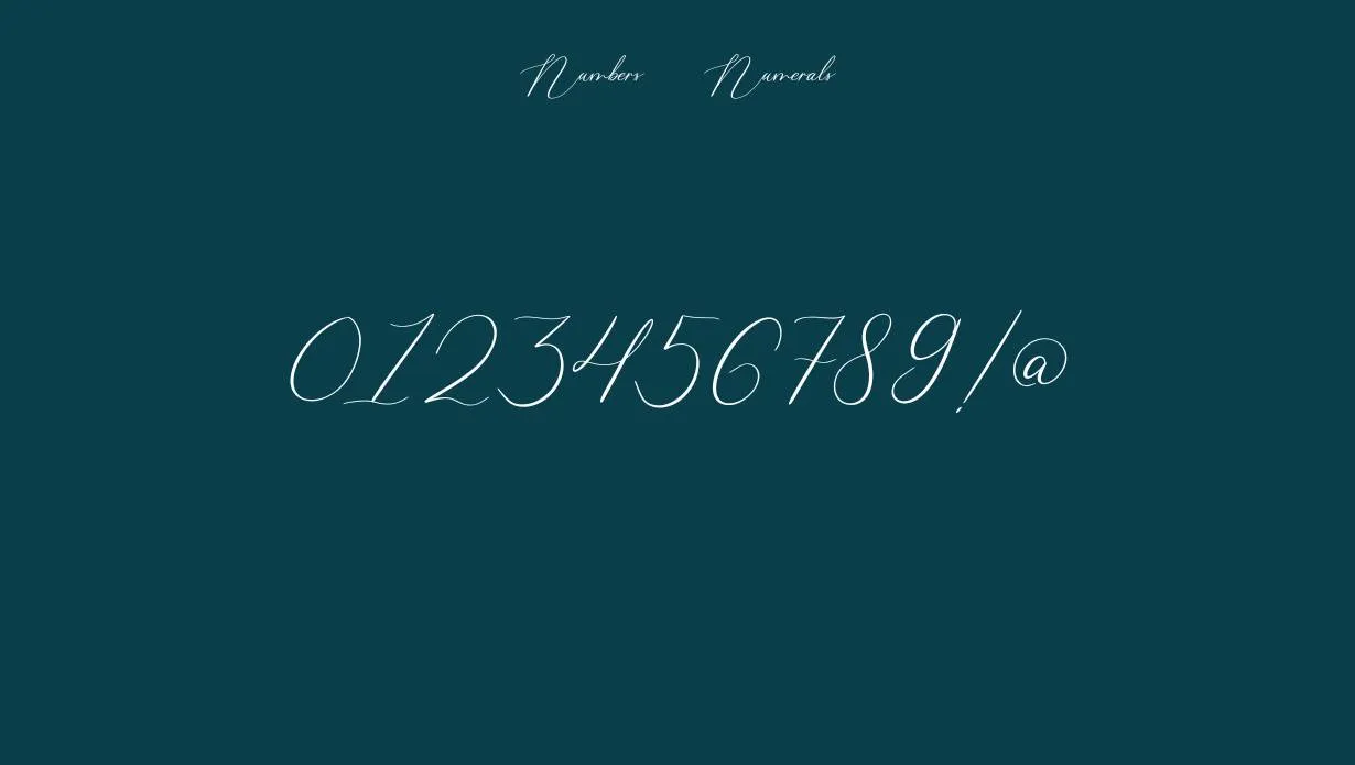 view of Calligrapher font (1)