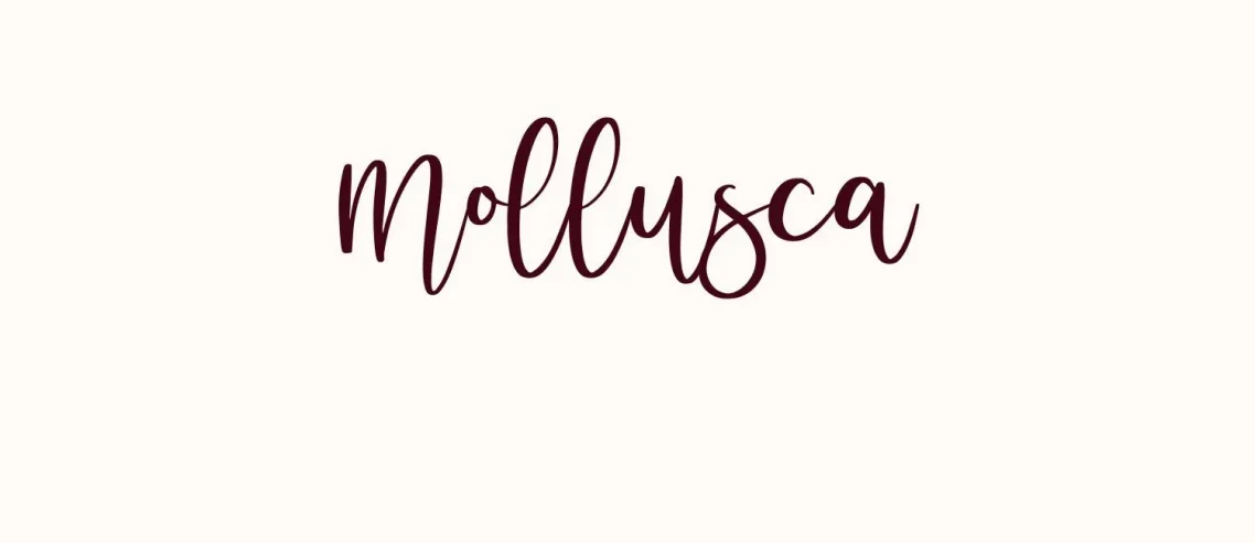 Mollusca Font
