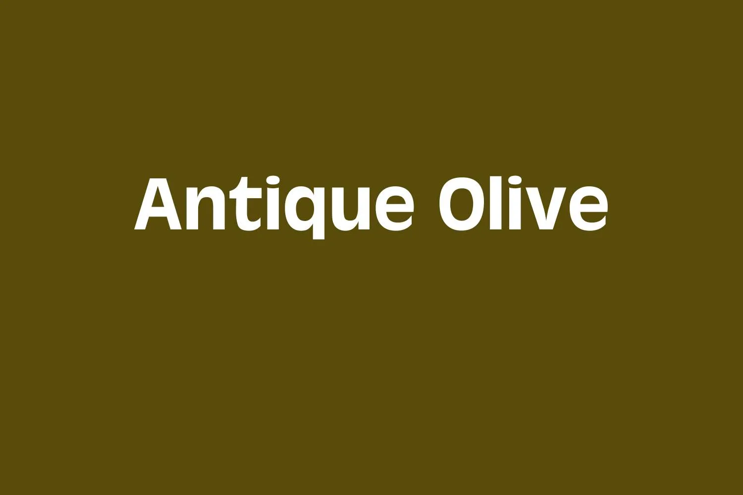 Antique Olive Bold Font Free Download