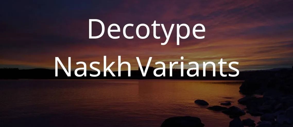 Decotype Naskh Variants Font