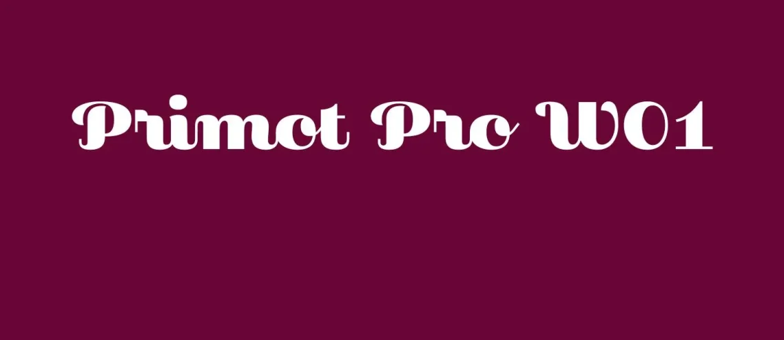 Primot Pro W01 Regular Font