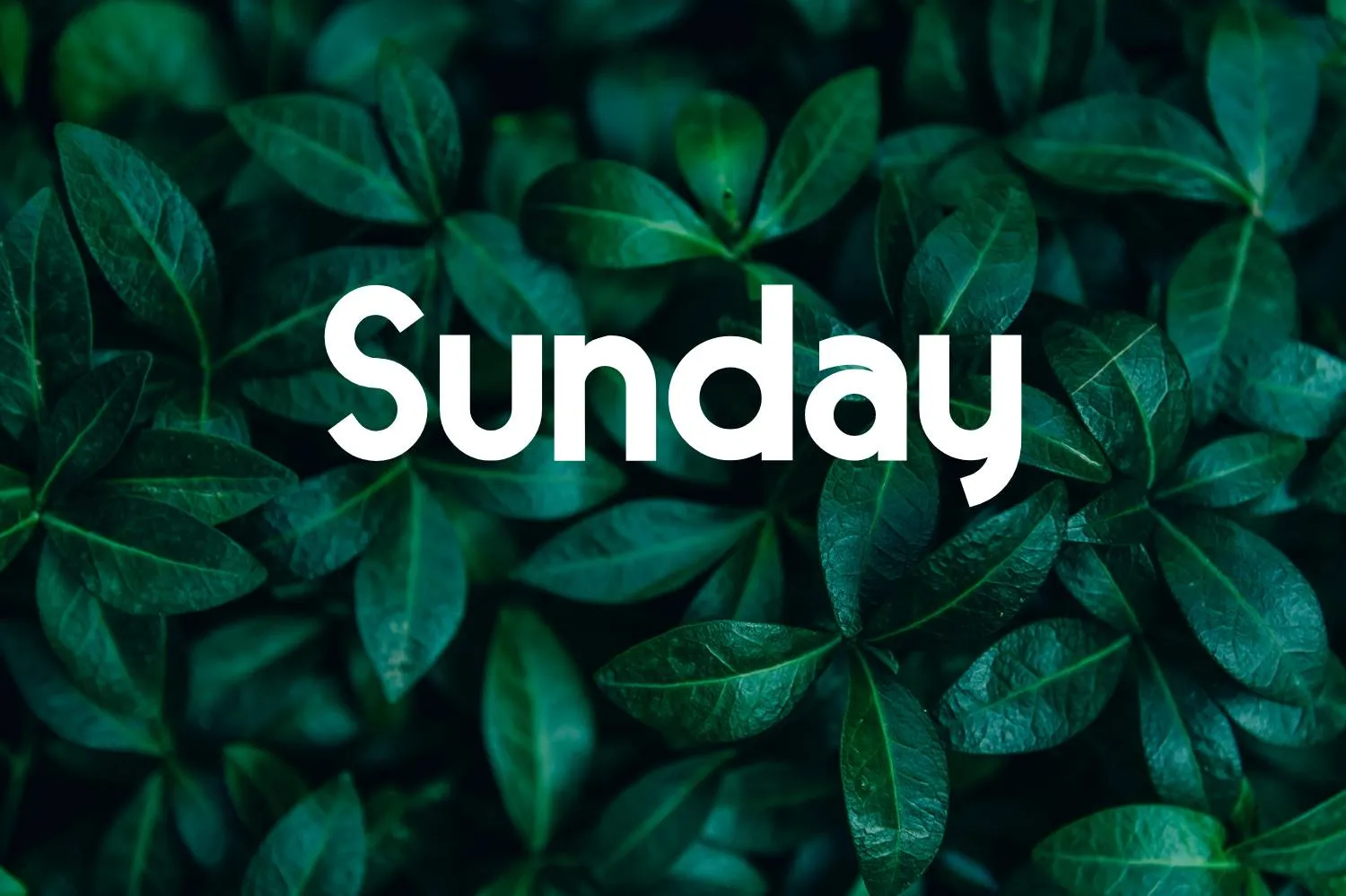 Sunday Font Free Download