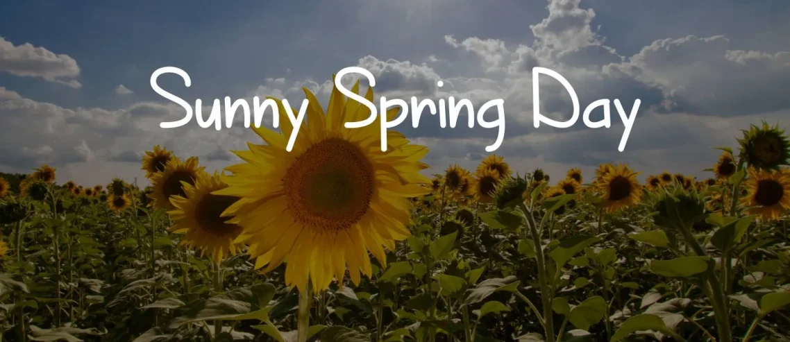 Sunny Spring Day Font