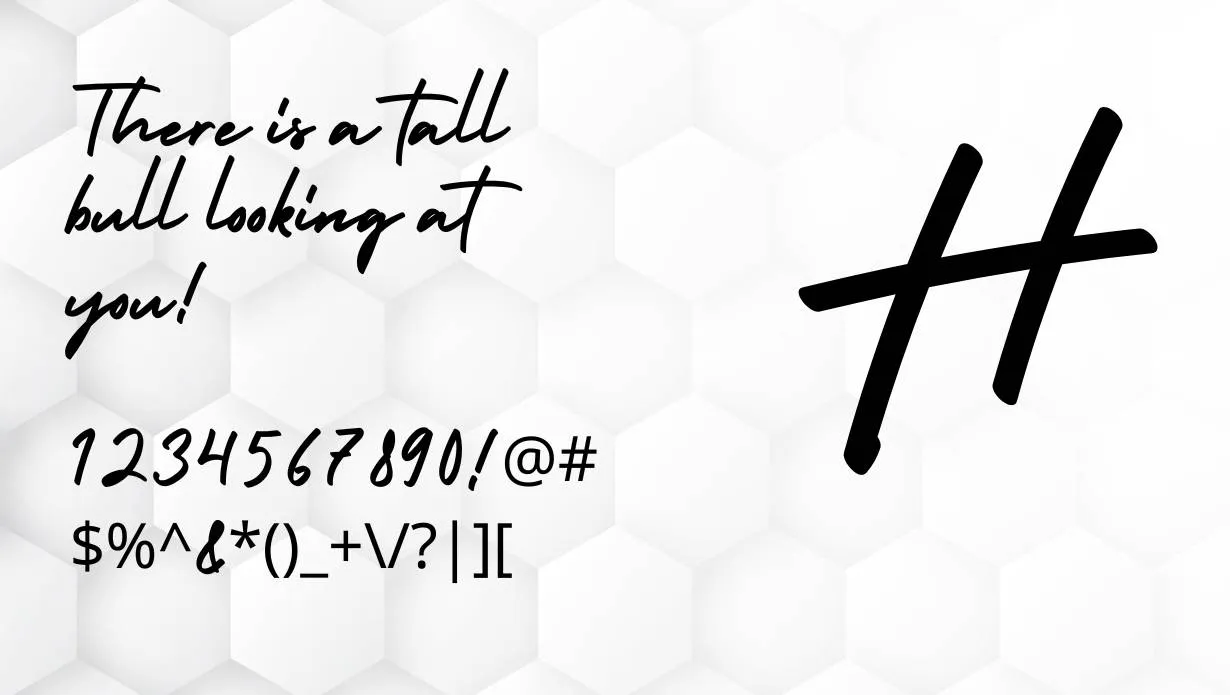 Holiday Bold Script Font
