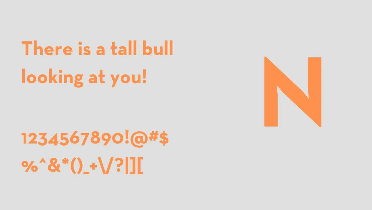 Neutraface Text Font