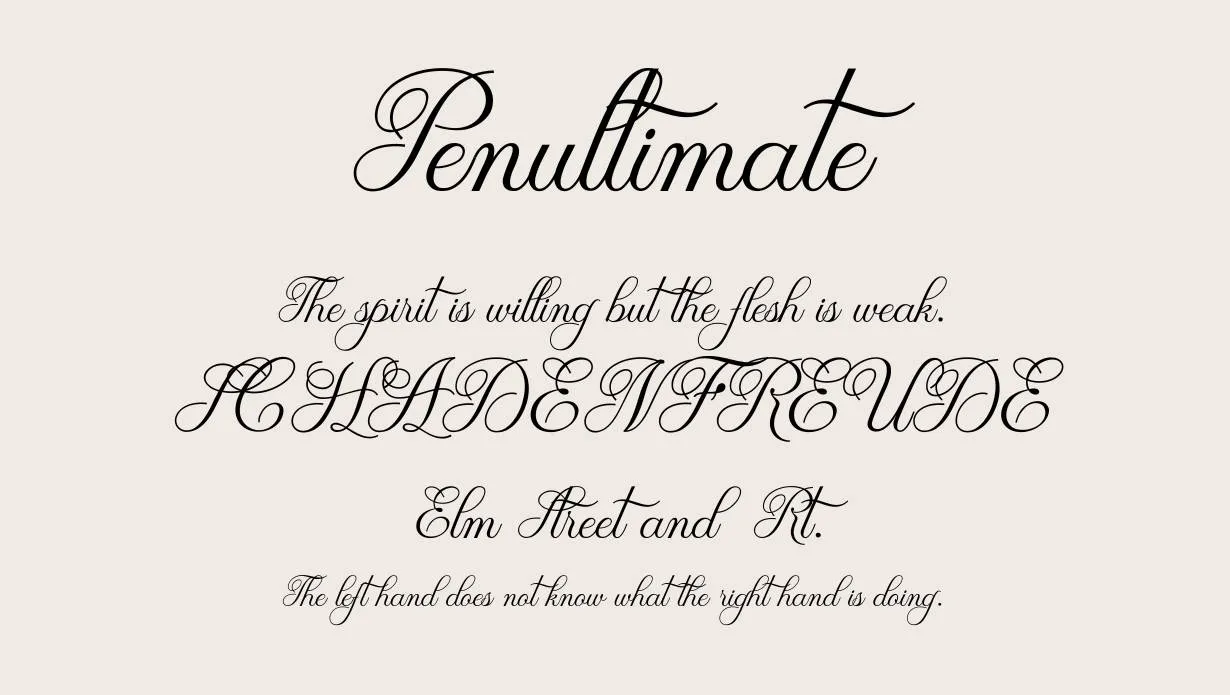 Quality Script Font